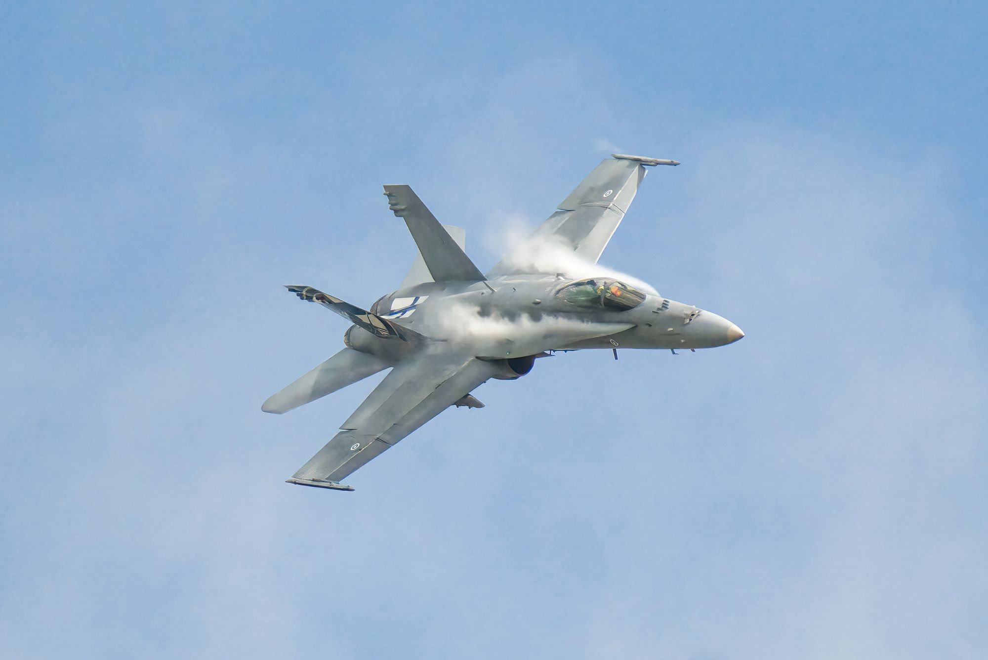 F-18 Hornet