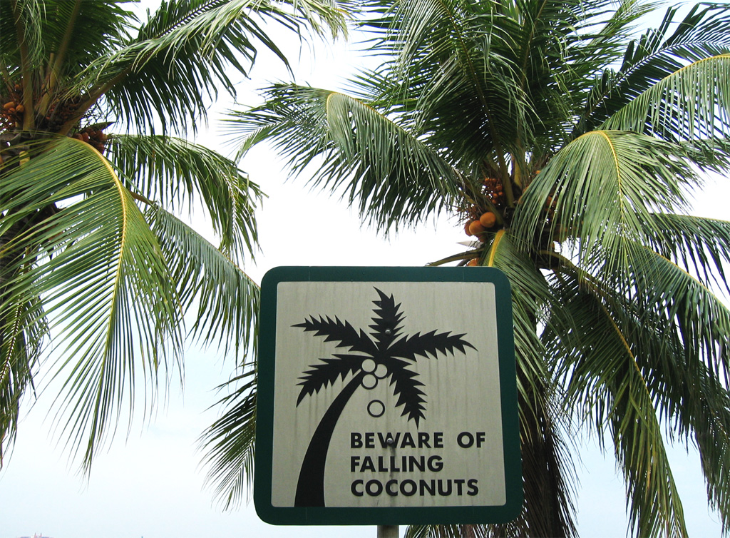 Beware of falling coconuts